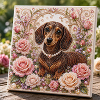 🐾 Dachshund
