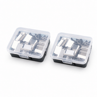 100 pcs clips