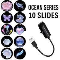 Butterfly & Ocean 10 Scenes